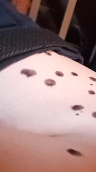 Bored Sub