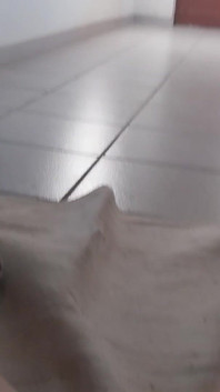 Squirting