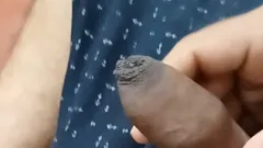 신선한 자지