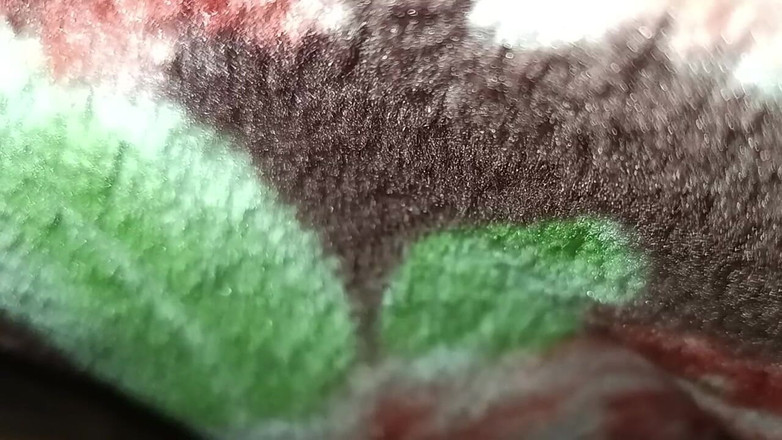 Raani16: Sditalino la figa della mia ragazza nell'ostello del college