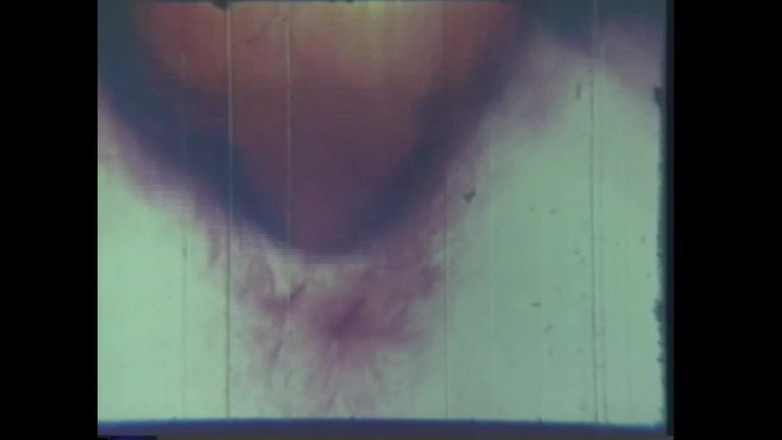 Vintage megastore: The Lustful Bed