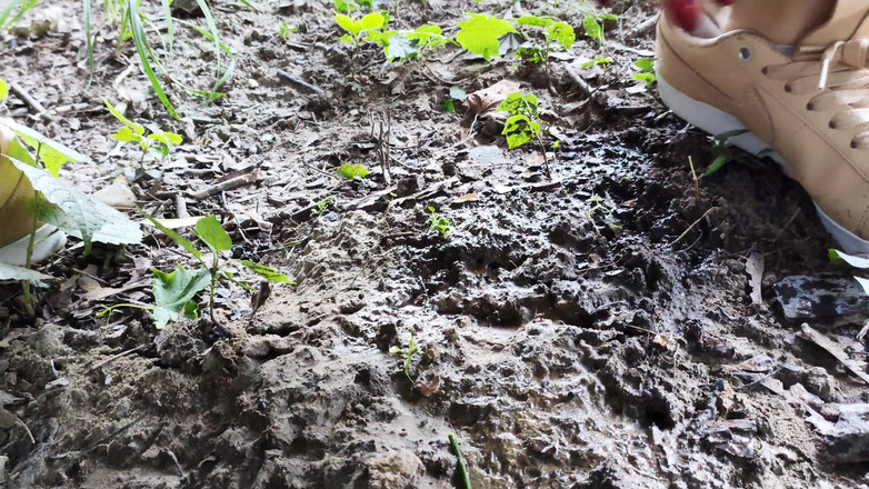 Adele Amber: Pioggia in natura