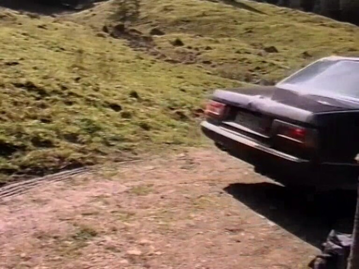 Euro Blue Movies: Zipfelstürmer (1993)