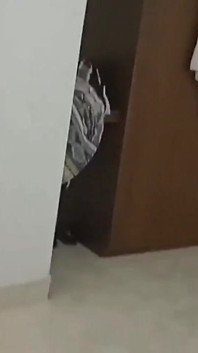 La messicana è venuta negli Stati Uniti e scopa la sua ragazza che vive lì per molti anni grazie a lui non è rimasta in