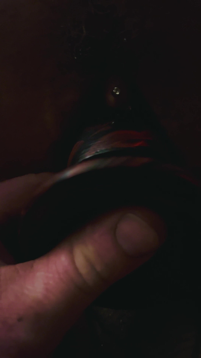 Jay Parker: Paige gosta de paus de criatura