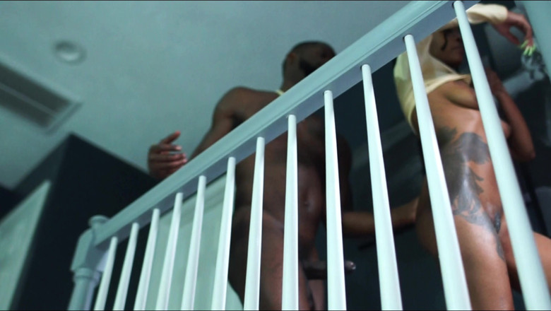 Xxxotikangelzent: Storm Thagreat and Ace Hardz