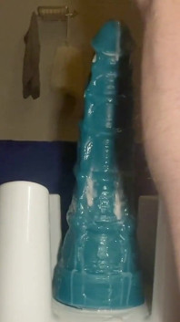 Riding Seahorse Xxl - Feb. 15, 2024
