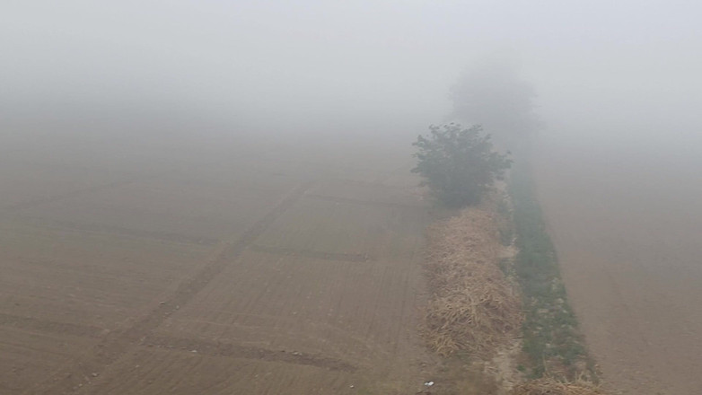 Austin Rose: Ayah India melepas pakaiannya dengan kabut musim dingin yang membeku