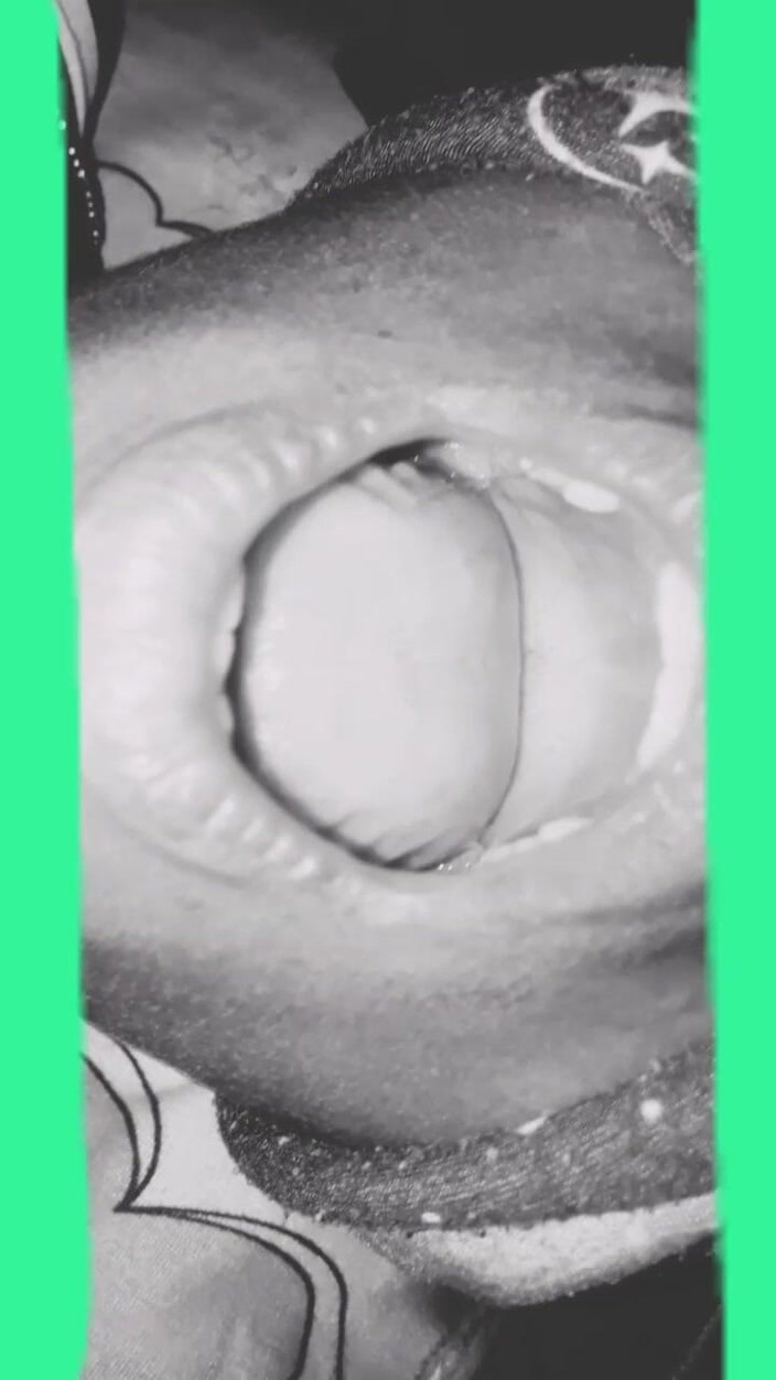 Sweet: Xvideo mông to Ấn Độ