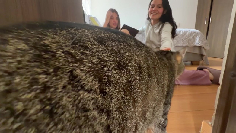 scarlettandc: Puisi Seks Berakhir Dengan Seks Tegar Antara Rakan Sebilik