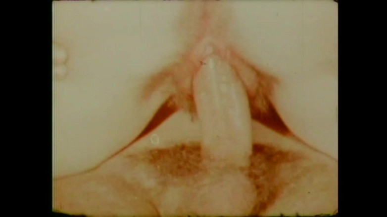 Vintage Usa: Buah jeruk berbelanja