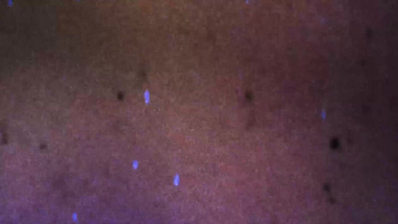 TS Casting Couch: Memperkenalkan TS Sofia Liberace