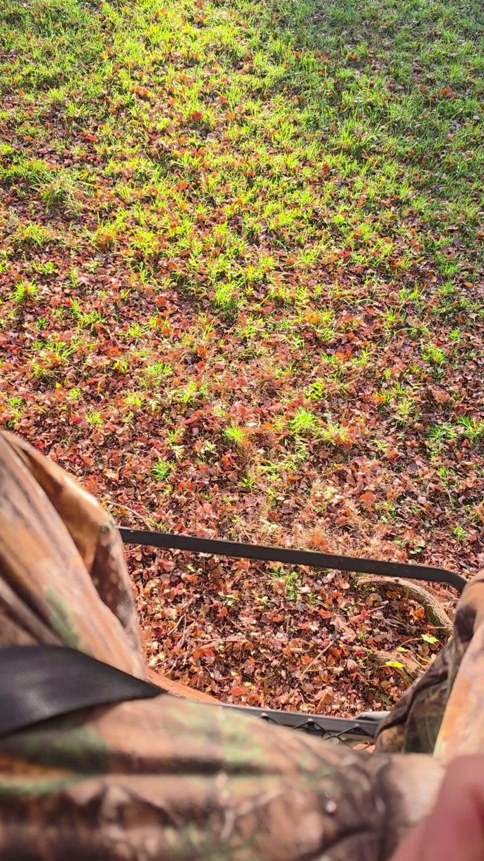 Beary Jax: Big Bear Hunting in the Treestand