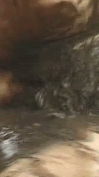 Mature Brunette MILF Gets Fucked Hard in Mud