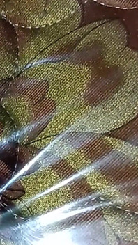 My Videos 3