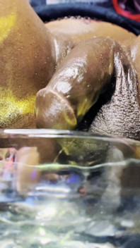 Golden Goddess Nectar 4
