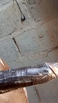 Islak ve sulu yarak boşalma masajı