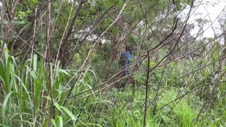 TheBlacKHunterr: Pekerja melalui taman dan mendapat