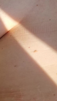 私の蝶のような膣が森の外で犯され、中出しされる