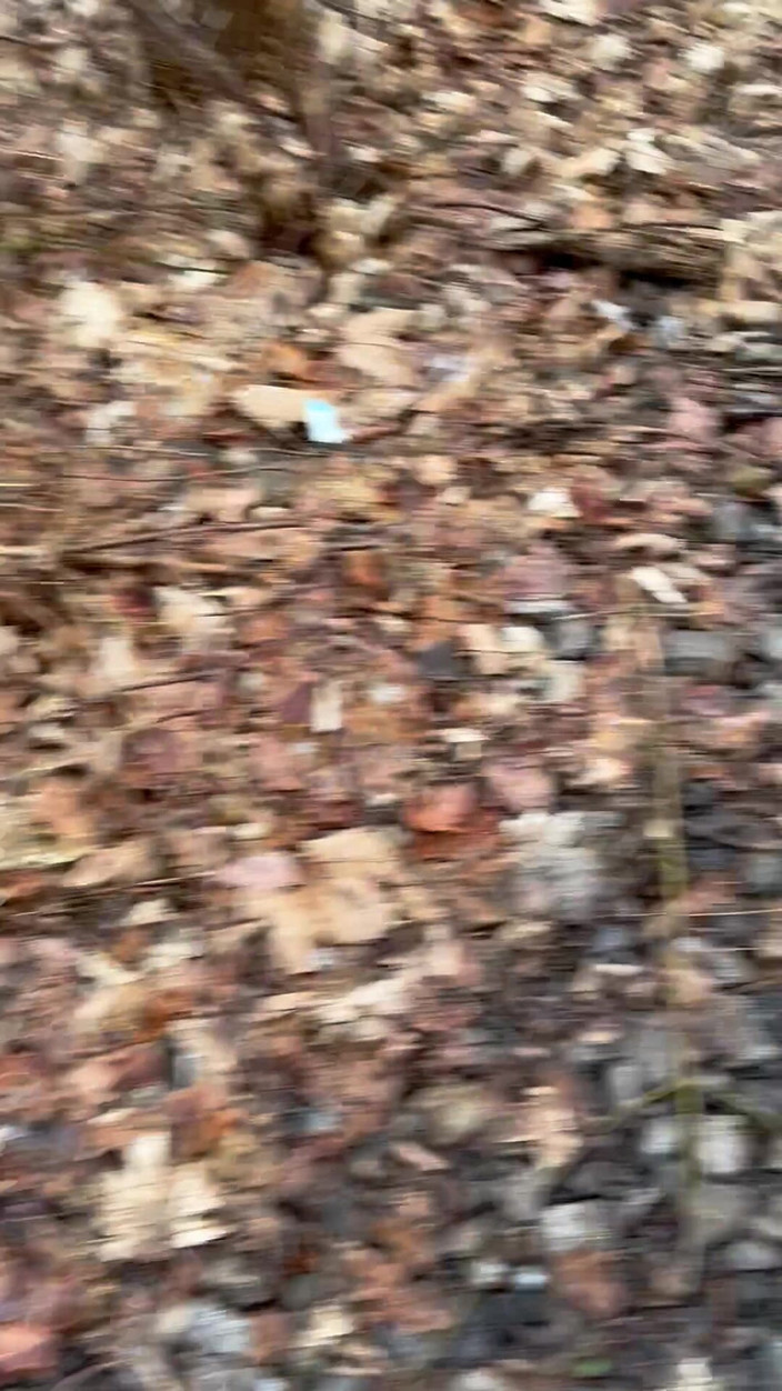 MasterPublic: Đi mà không có đồ lót