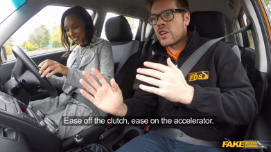 Fake Driving School