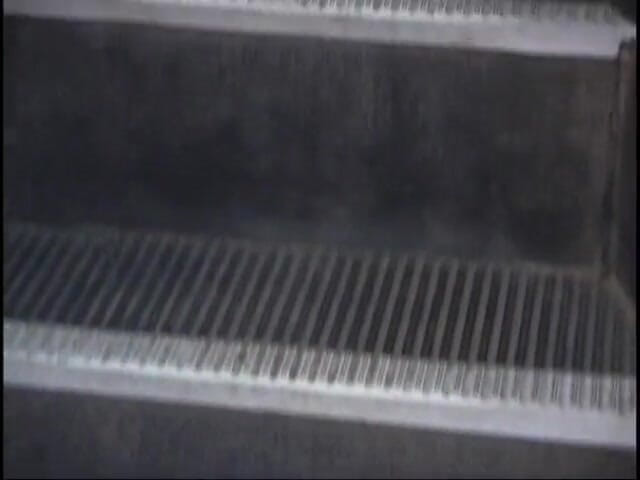 Compilation Madness: Compilation of college girls sucking dicks and getting cum in...