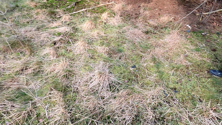 Bouncy Tits Action: Get Naked and Walk Over It