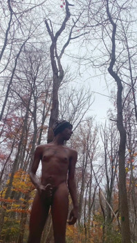 Mear y bate en el bosque