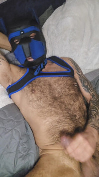 Pup Talking Dirty to You