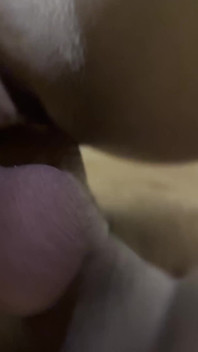 Creampie pulsante