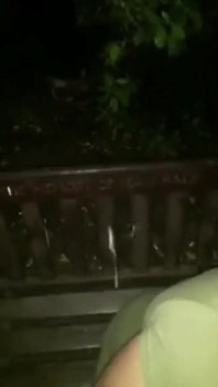 Bbwbootyful fucking nata4sex outdoor blowjob intense doggy orgasm