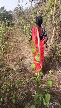 Bhabi Desi Dogi Style Full Romance and Sex