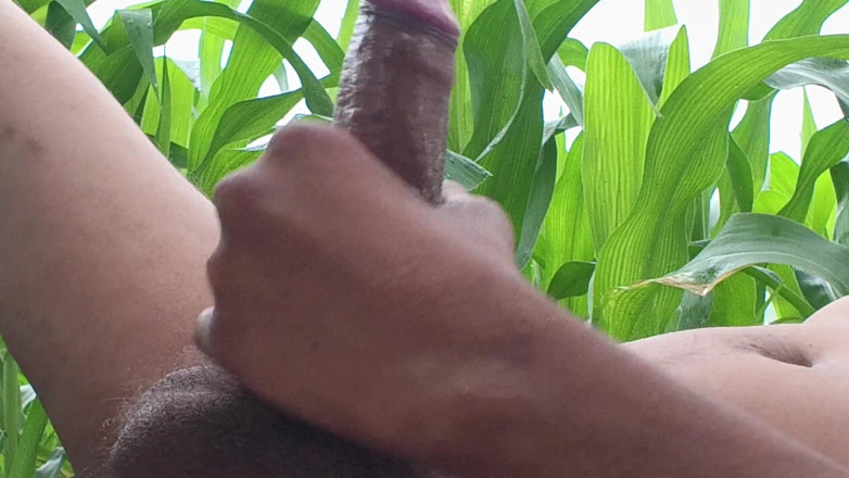 rkhydzstvcc: Worldwide Viral Desi Hunk Solo Action Part 4 - Premium Faceless Amateur...