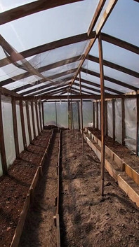 Оголена домашня дружина працює в теплиці