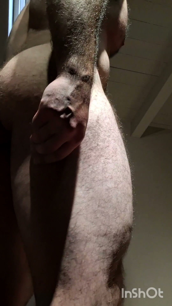 Markwolf: Culo peloso