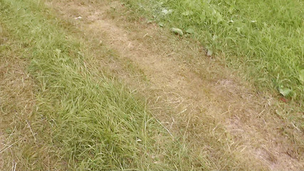 XXX-Platinum: Náhodný kolemjdoucí sleduje sex na zadním sedadle auta. Venku