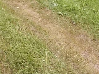 XXX-Platinum: Người qua đường ngẫu nhiên xem tình dục trên hàng ghế...