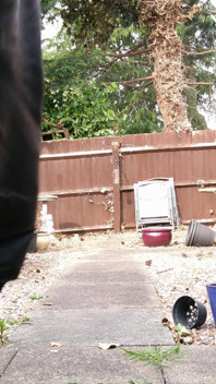 Leather Overalls in the Garden