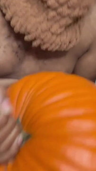 Teddy obraznic