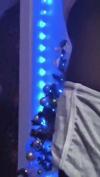 Christmas Morning Gloryhole Surprise for BBC Sissy Wakes up to Find Gift-wrapped Invitation From Boyfriend 1
