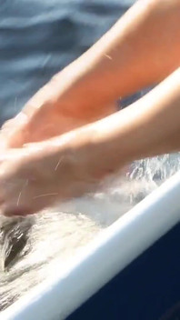Sommer auf einem boot