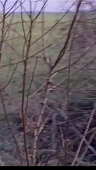 Lisa, PAWG allemande blonde, se fait baiser dans la nature risquée au premier rendez-vous