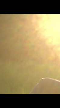 En iyi vuruşunla bana vur lobo ve luna ruiz