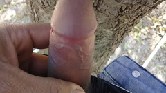 Xooshua (xblue18): Beautiful Young College Girl Is Getting Fucked on the Road,...