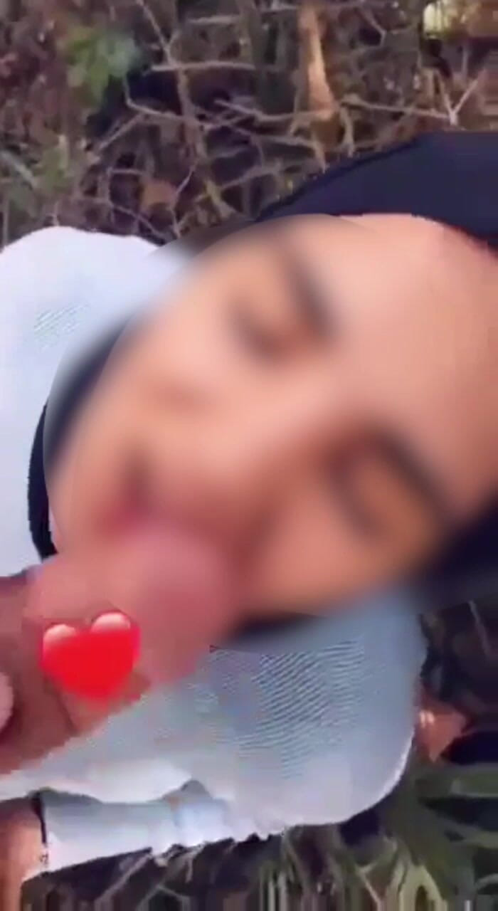 Amiramodel: पाइप अरब