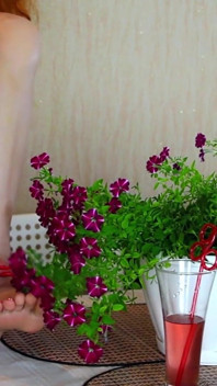 Petunia