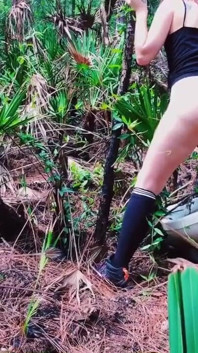 Peeing on a Toilet in the Woods