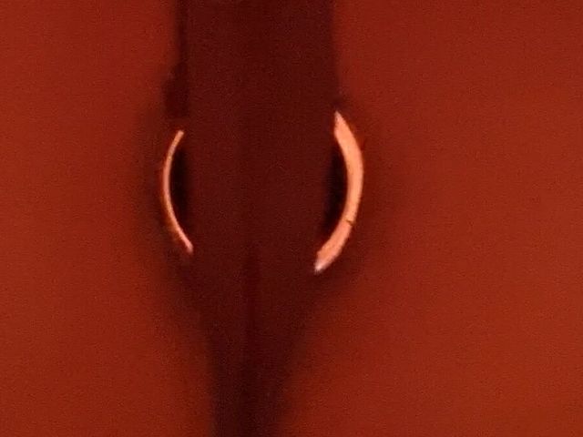 POV: Buttplug Pushdowns on You (No19xh)