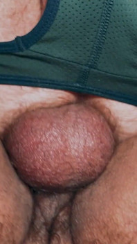 Gorilla bukkake 14 bären, orgie teil2