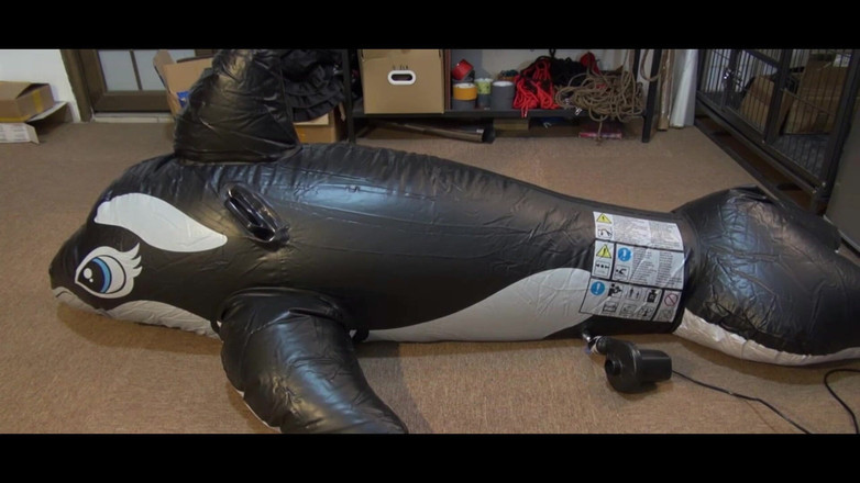 OrangeXXOO: Walmädchen